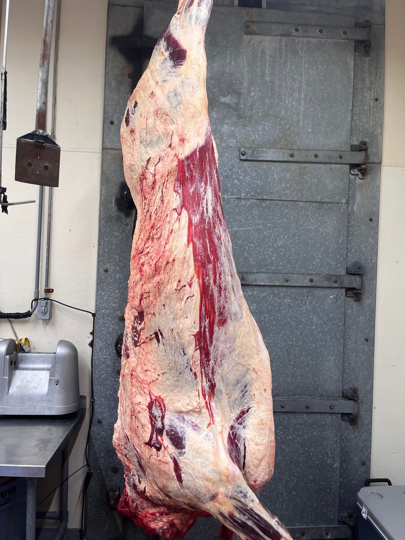 1/2 Beef